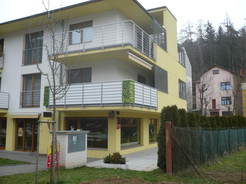 Apartman Anezka Luhacovice Exterior photo